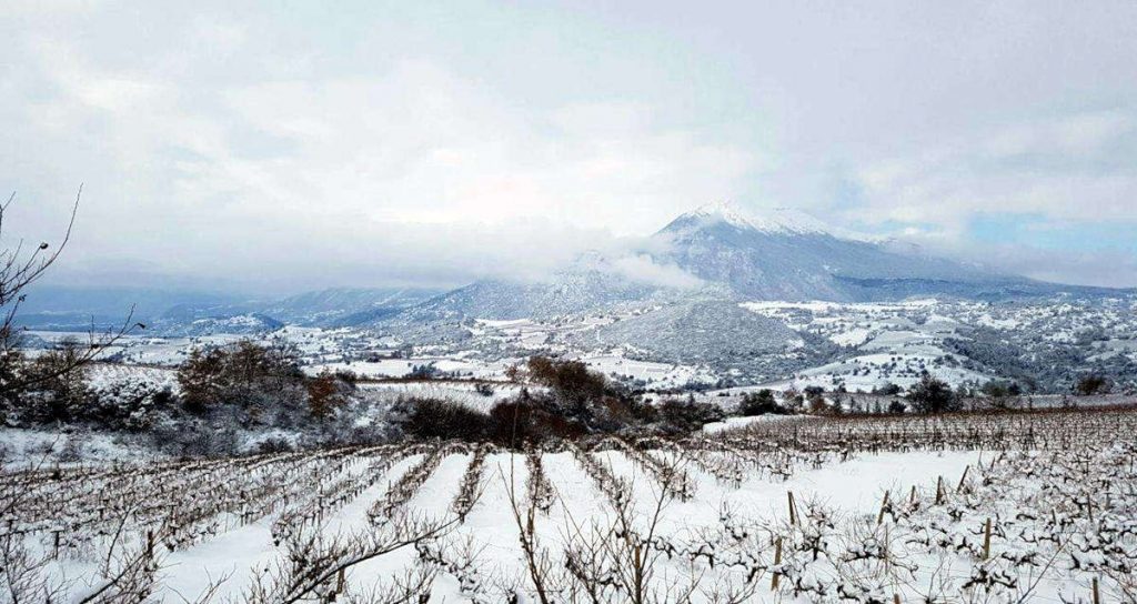acheon-winery-aigialeia-our-vineyards-snow-opt