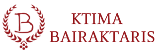 bairaktaris_top_logo